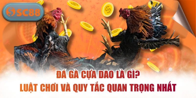 Đá Gà Cựa Dao